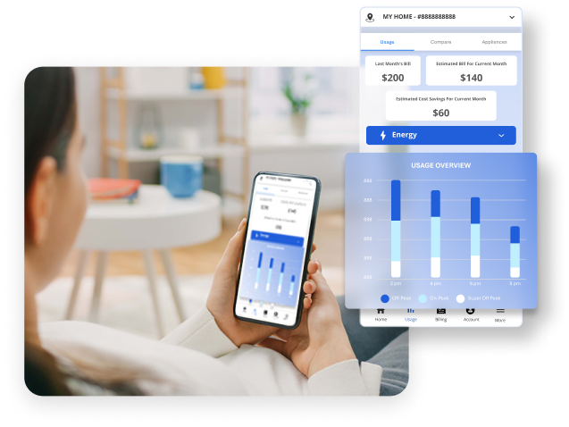 AI Home Energy Reports